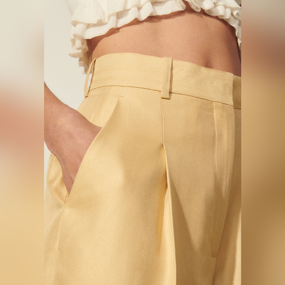 Sandro paris pants
